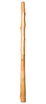 CrookedStixz Didgeridoo (AH356)